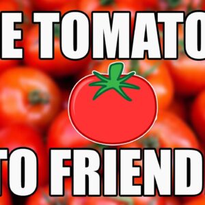 Are tomatoes 🍅 keto friendly?